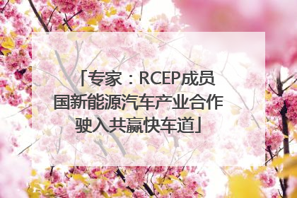 专家：RCEP成员国新能源汽车产业合作驶入共赢快车道