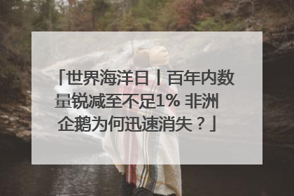 世界海洋日丨百年内数量锐减至不足1% 非洲企鹅为何迅速消失？