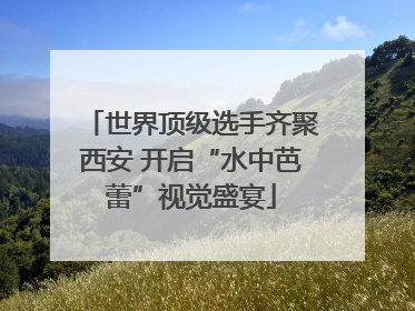 世界顶级选手齐聚西安 开启“水中芭蕾”视觉盛宴