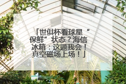 世俱杯看球星“保鲜”状态？海信冰箱：这题我会！真空磁场上场！