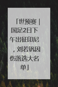 世预赛｜国足2日下午出征印尼，刘若钒因伤落选大名单
