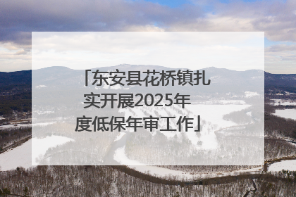 东安县花桥镇扎实开展2025年度低保年审工作