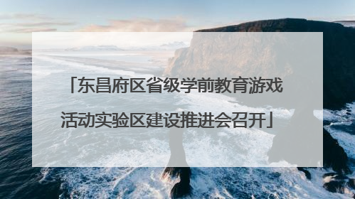 东昌府区省级学前教育游戏活动实验区建设推进会召开