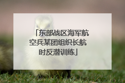 东部战区海军航空兵某团组织长航时反潜训练