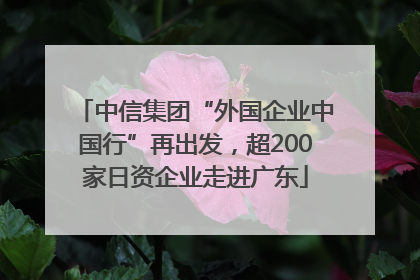 中信集团“外国企业中国行”再出发，超200家日资企业走进广东