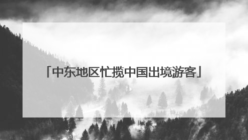 中东地区忙揽中国出境游客