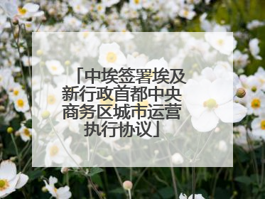 中埃签署埃及新行政首都中央商务区城市运营执行协议