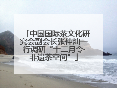 中国国际茶文化研究会副会长张仲灿一行调研“十二月令·非遗茶空间”