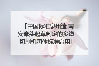 中国标准泉州造 南安牵头起草制定的多线切割机团体标准启用
