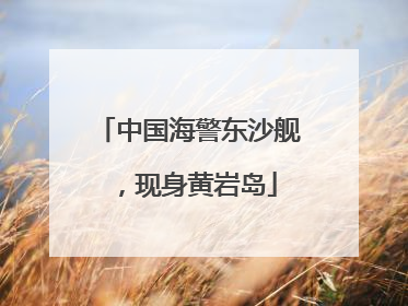 中国海警东沙舰，现身黄岩岛