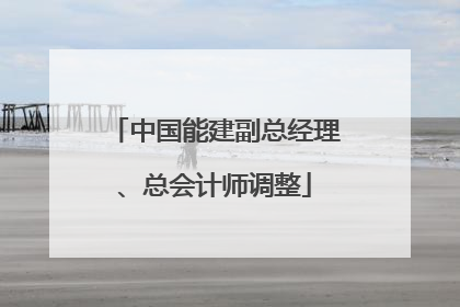 中国能建副总经理、总会计师调整