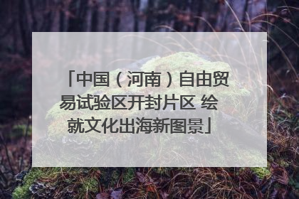 中国（河南）自由贸易试验区开封片区 绘就文化出海新图景