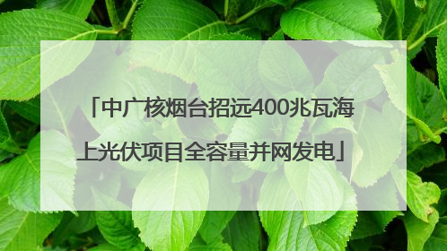中广核烟台招远400兆瓦海上光伏项目全容量并网发电