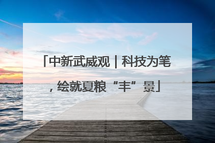 中新武威观｜科技为笔，绘就夏粮“丰”景