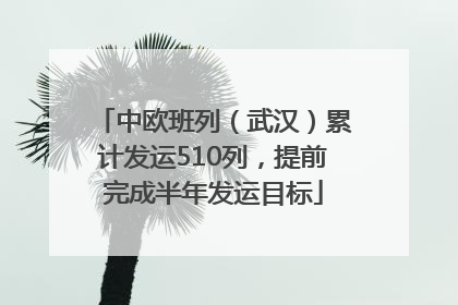 中欧班列（武汉）累计发运510列，提前完成半年发运目标