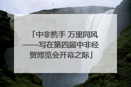 中非携手 万里同风——写在第四届中非经贸博览会开幕之际