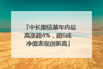 中长期债基年内最高涨超4%，超6成净值表现创新高
