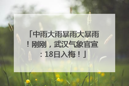 中雨大雨暴雨大暴雨！刚刚，武汉气象官宣：18日入梅！