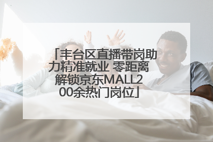 丰台区直播带岗助力精准就业 零距离解锁京东MALL200余热门岗位