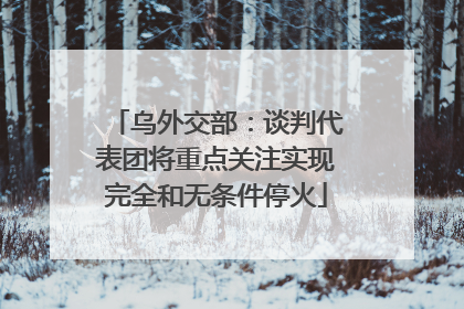 乌外交部：谈判代表团将重点关注实现完全和无条件停火