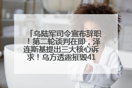 乌陆军司令宣布辞职！第二轮谈判在即，泽连斯基提出三大核心诉求！乌方透露摧毁41架俄战略轰炸机