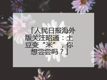 人民日报海外版关注昭通：土豆变“米”，你想尝尝吗？
