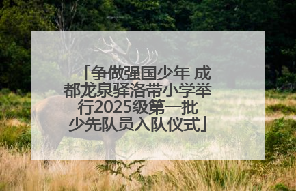 争做强国少年 成都龙泉驿洛带小学举行2025级第一批少先队员入队仪式