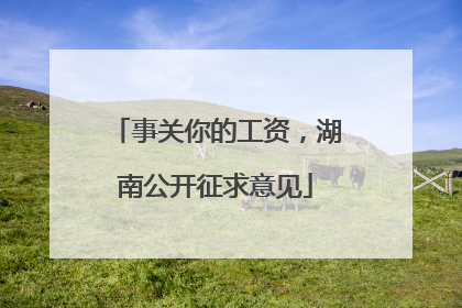 事关你的工资，湖南公开征求意见