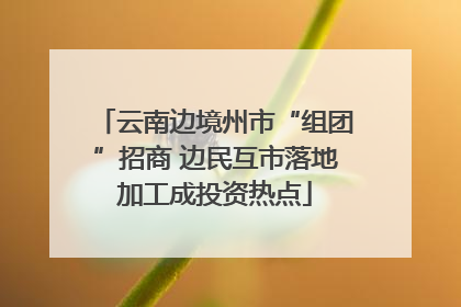 云南边境州市“组团”招商 边民互市落地加工成投资热点
