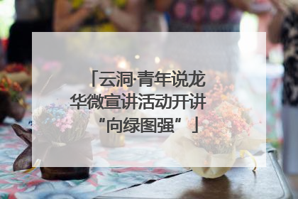 云洞·青年说龙华微宣讲活动开讲“向绿图强”