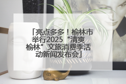亮点多多！榆林市举行2025“清爽榆林”文旅消费季活动新闻发布会