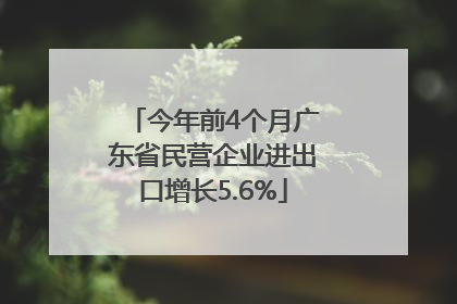 今年前4个月广东省民营企业进出口增长5.6%