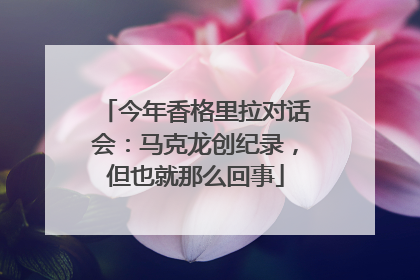 今年香格里拉对话会：马克龙创纪录，但也就那么回事