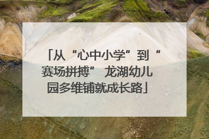 从“心中小学”到“赛场拼搏” 龙湖幼儿园多维铺就成长路