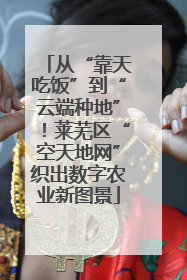 从“靠天吃饭”到“云端种地”！莱芜区“空天地网”织出数字农业新图景