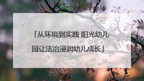 从环境到实践 阳光幼儿园让法治浸润幼儿成长