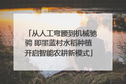 从人工弯腰到机械驰骋 即墨蓝村水稻种植开启智能农耕新模式