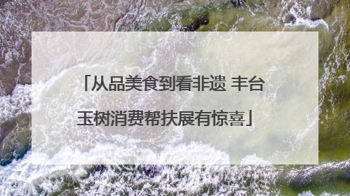 从品美食到看非遗 丰台玉树消费帮扶展有惊喜