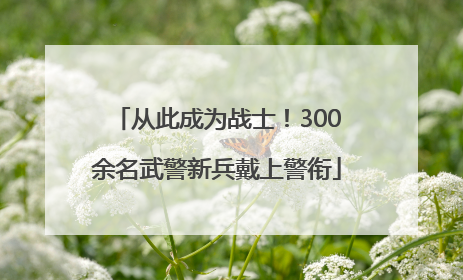 从此成为战士！300余名武警新兵戴上警衔