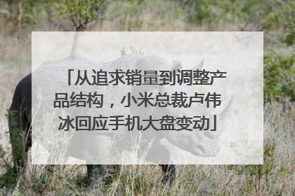 从追求销量到调整产品结构，小米总裁卢伟冰回应手机大盘变动