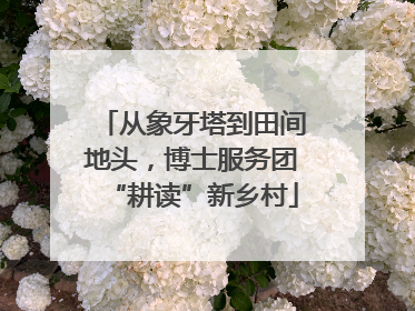 从象牙塔到田间地头，博士服务团“耕读”新乡村