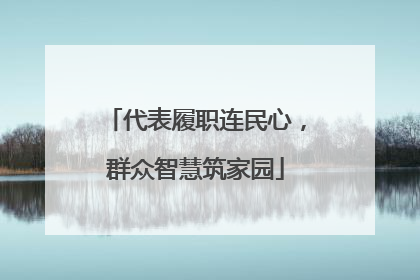 代表履职连民心，群众智慧筑家园