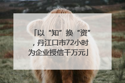 以“知”换“资”，丹江口市72小时为企业授信千万元