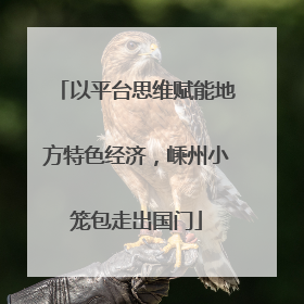 以平台思维赋能地方特色经济，嵊州小笼包走出国门