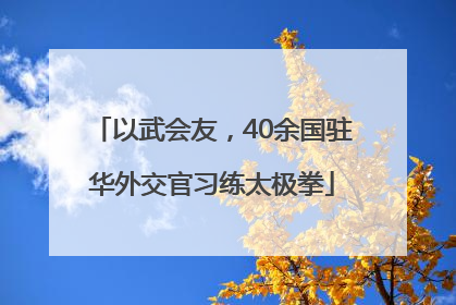 以武会友，40余国驻华外交官习练太极拳
