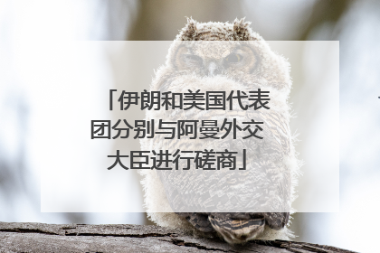 伊朗和美国代表团分别与阿曼外交大臣进行磋商