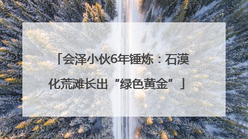 会泽小伙6年锤炼：石漠化荒滩长出“绿色黄金”