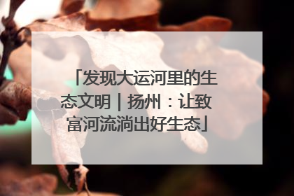 发现大运河里的生态文明｜扬州：让致富河流淌出好生态