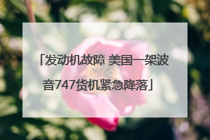 发动机故障 美国一架波音747货机紧急降落