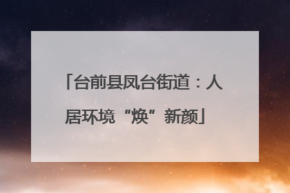 台前县凤台街道：人居环境“焕”新颜